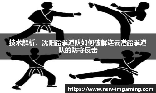 IM电竞首页