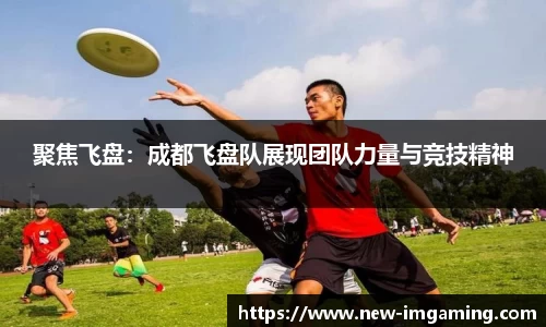 IM电竞平台